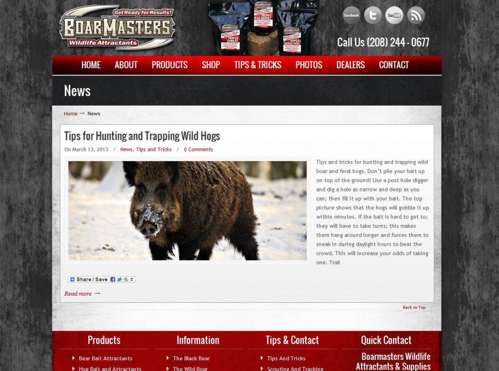 Boarmasters Hunting Blog Design