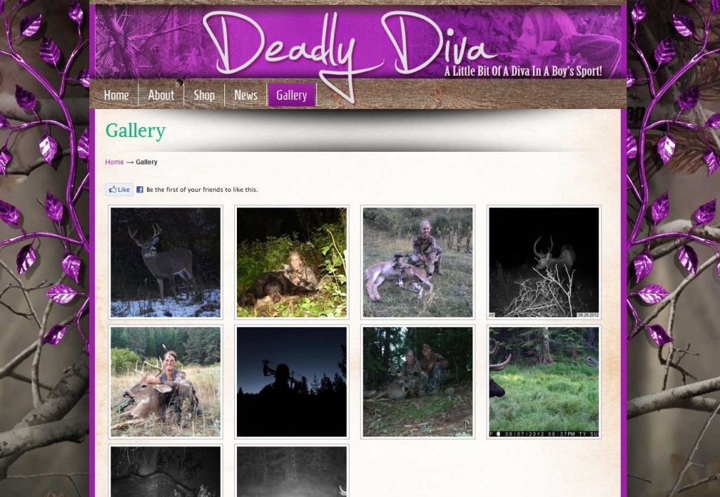 Deadly Diva Hunting Gallery Design