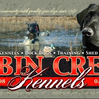 cabin-creek-kennels-hunting-dog-banner-display