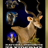 natural-instincts-taxidermy-african-hunting-print-ad