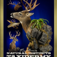 natural-instincts-taxidermy-big-game-hunting-ad