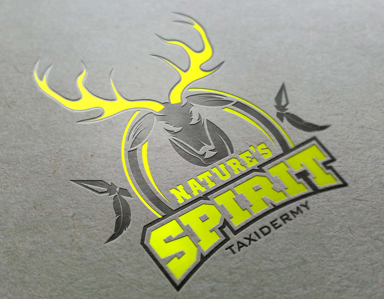 Natures Spirit Taxidermy Feather logo design