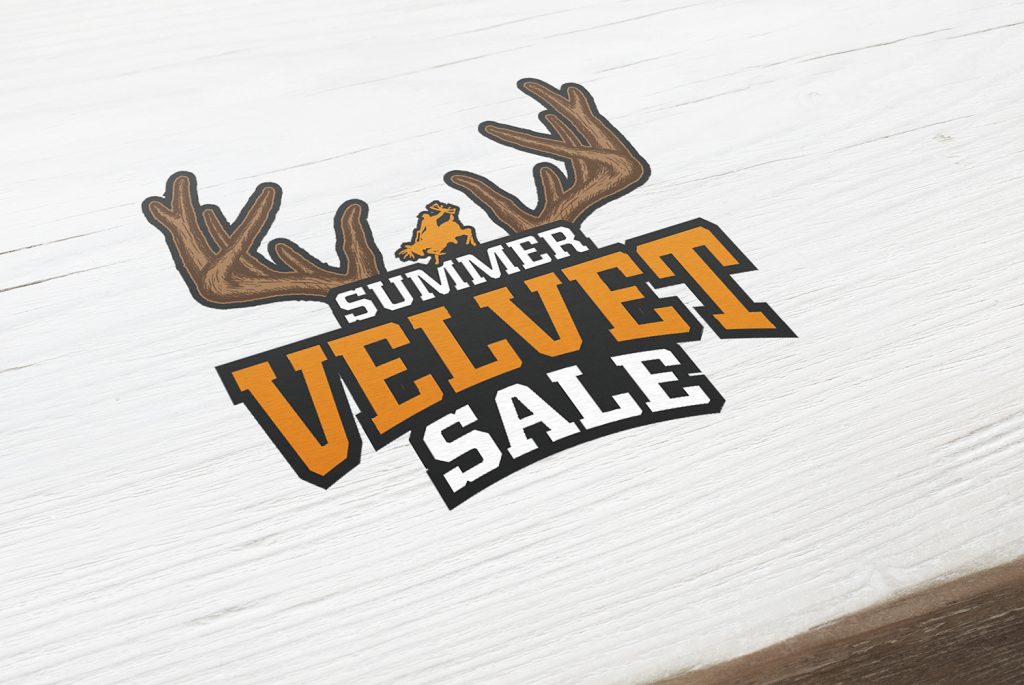 Catchin Deers Velvet Summer Sale Hunting Bowhunting Orange Logo Design